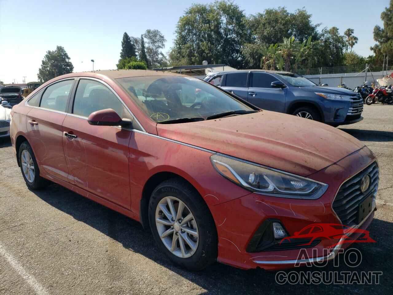 HYUNDAI SONATA 2019 - 5NPE24AF6KH798262