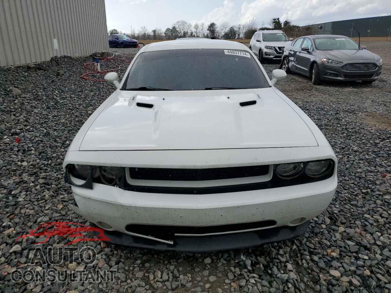 DODGE CHALLENGER 2013 - 2C3CDYBT0DH742055