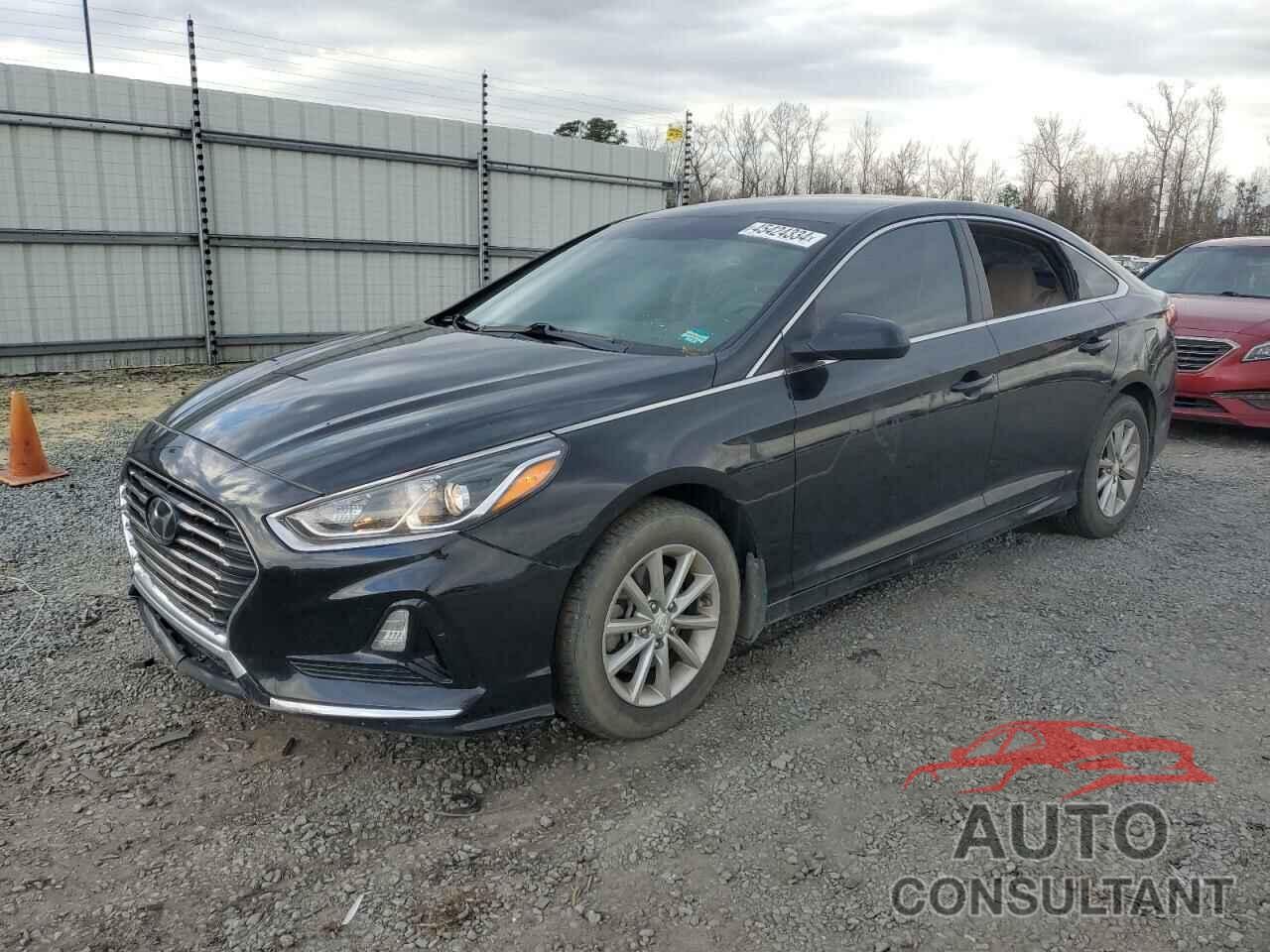 HYUNDAI SONATA 2019 - 5NPE24AF9KH806340