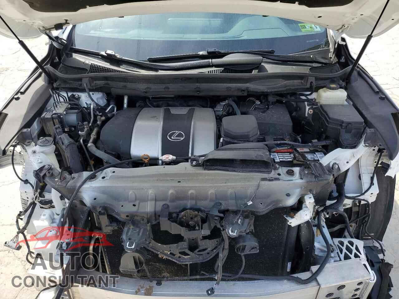 LEXUS RX350 2019 - 2T2BZMCA8KC194078
