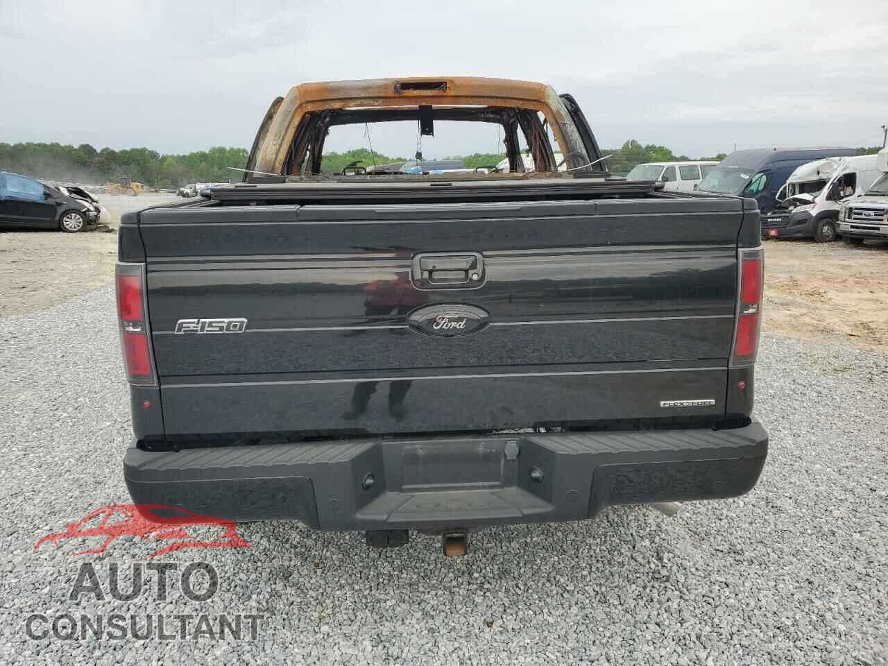 FORD F-150 2013 - 1FTFW1EF0DFD62389