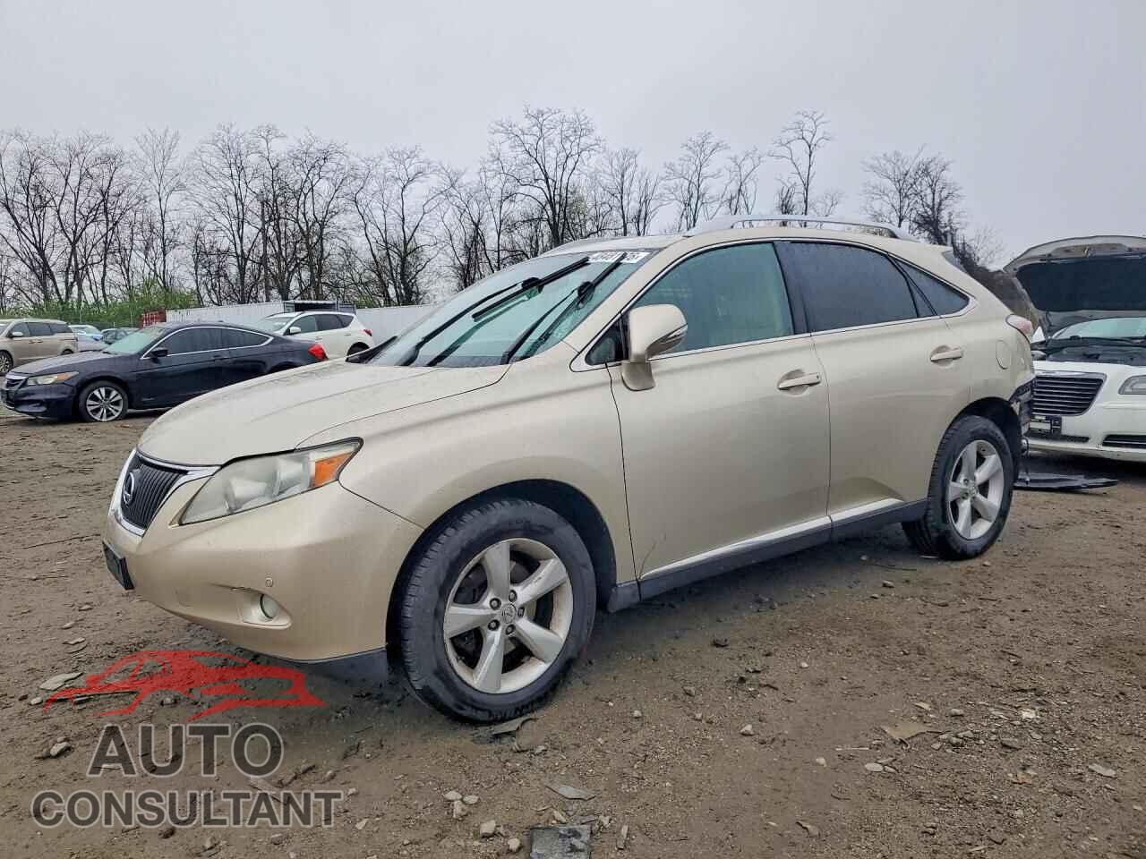 LEXUS RX350 2011 - 2T2BK1BA1BC119615