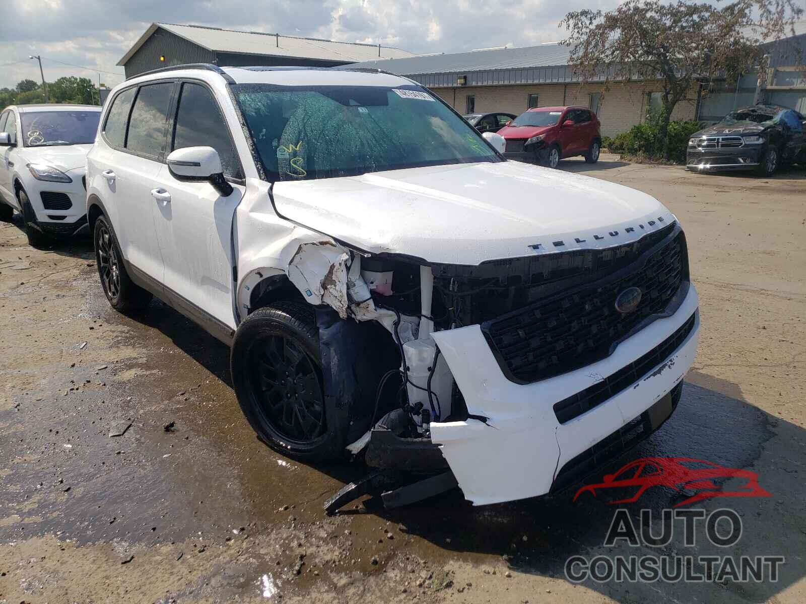 KIA TELLURIDE 2021 - 5XYP3DHC3MG144766