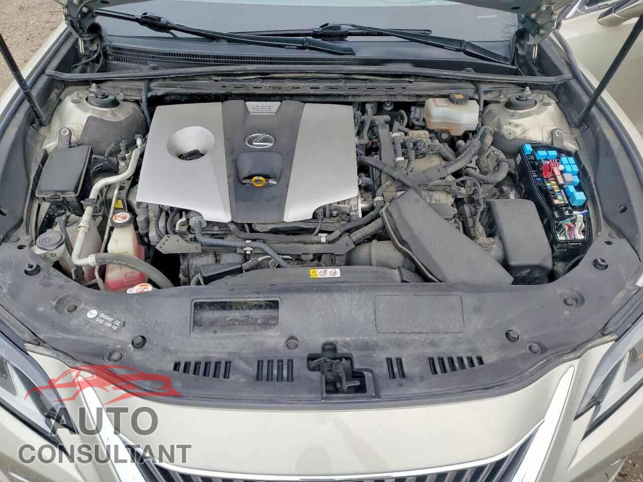 LEXUS ES300 2019 - JTHB21B11K2012033