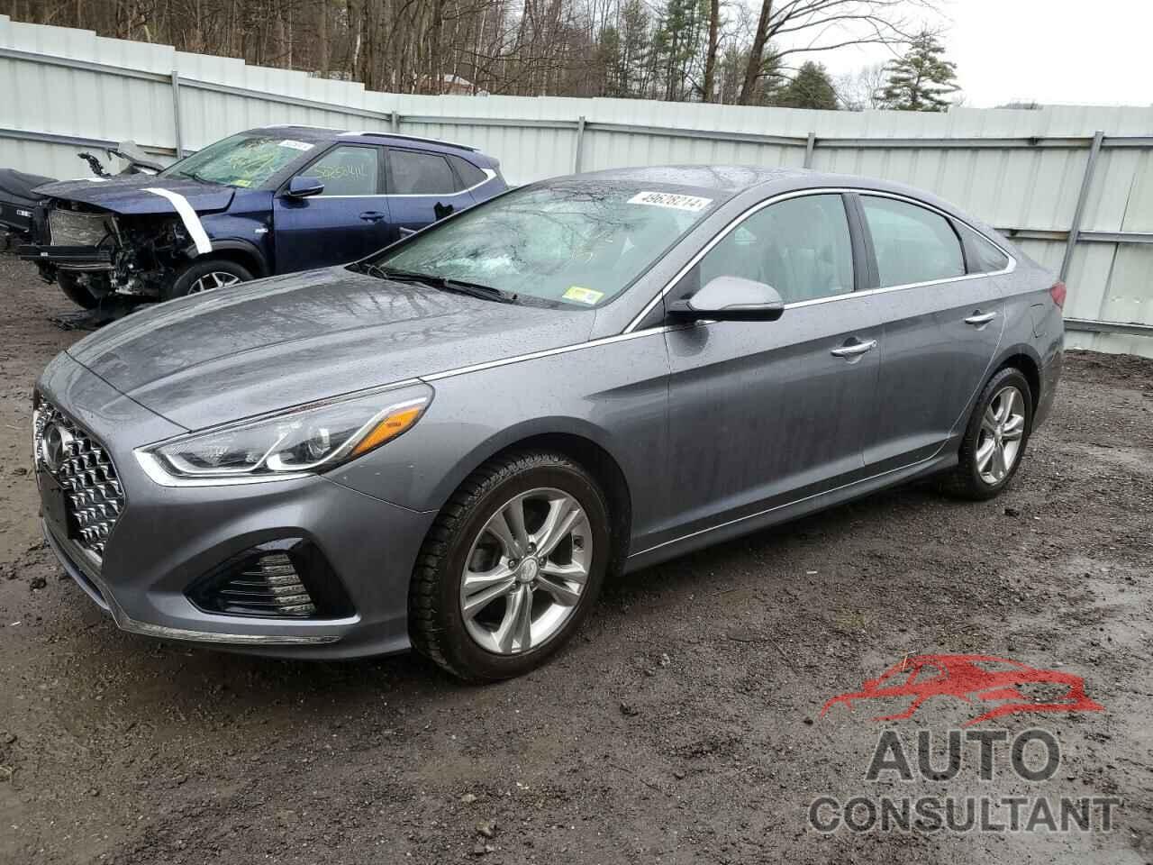 HYUNDAI SONATA 2019 - 5NPE34AF6KH743095