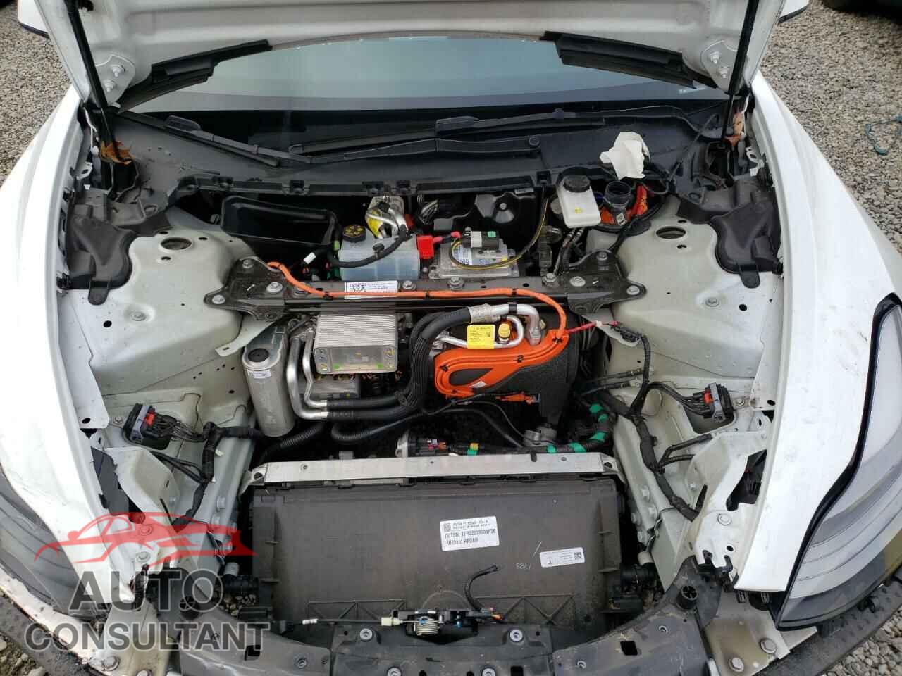 TESLA MODEL 3 2022 - 5YJ3E1EA5NF338282