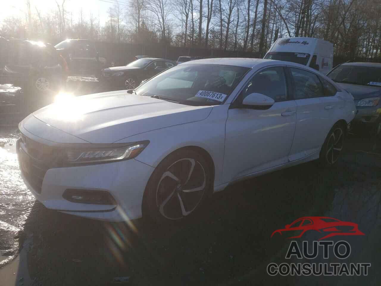 HONDA ACCORD 2019 - 1HGCV1F33KA044854