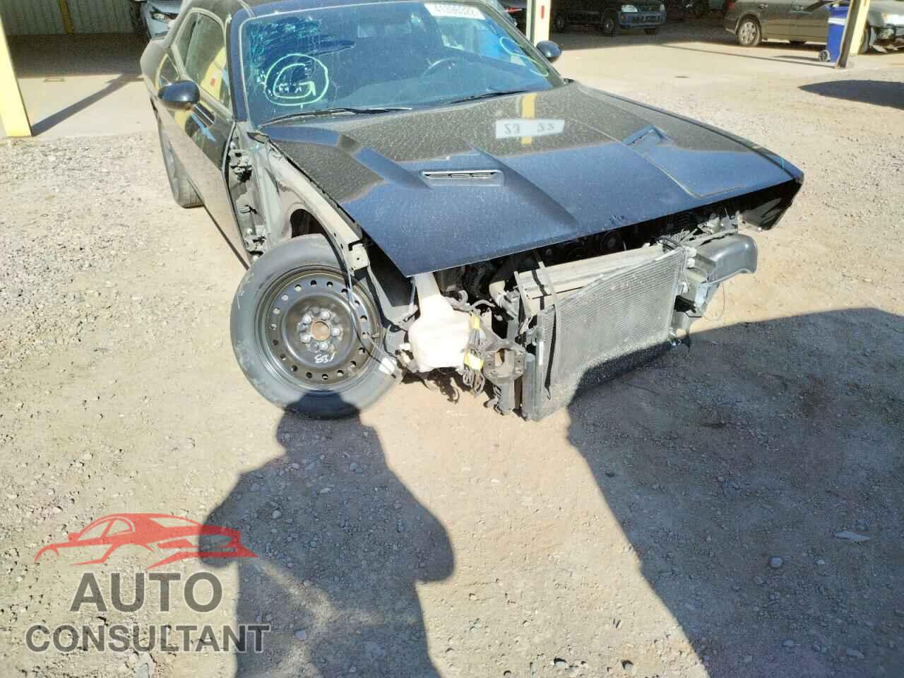 DODGE CHALLENGER 2018 - 2C3CDZAG8JH317754