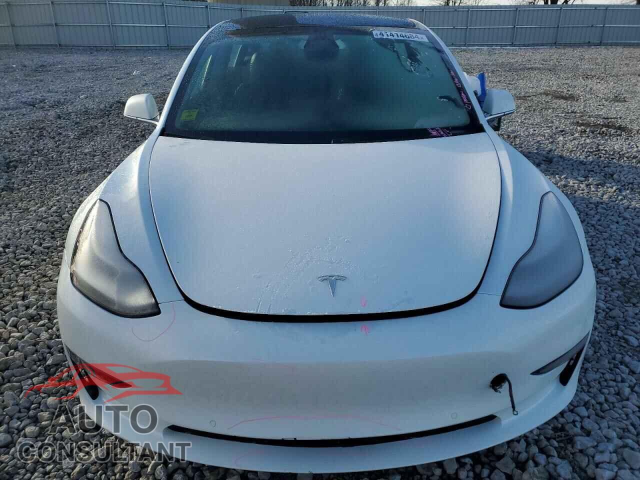 TESLA MODEL 3 2019 - 5YJ3E1EA1KF483783