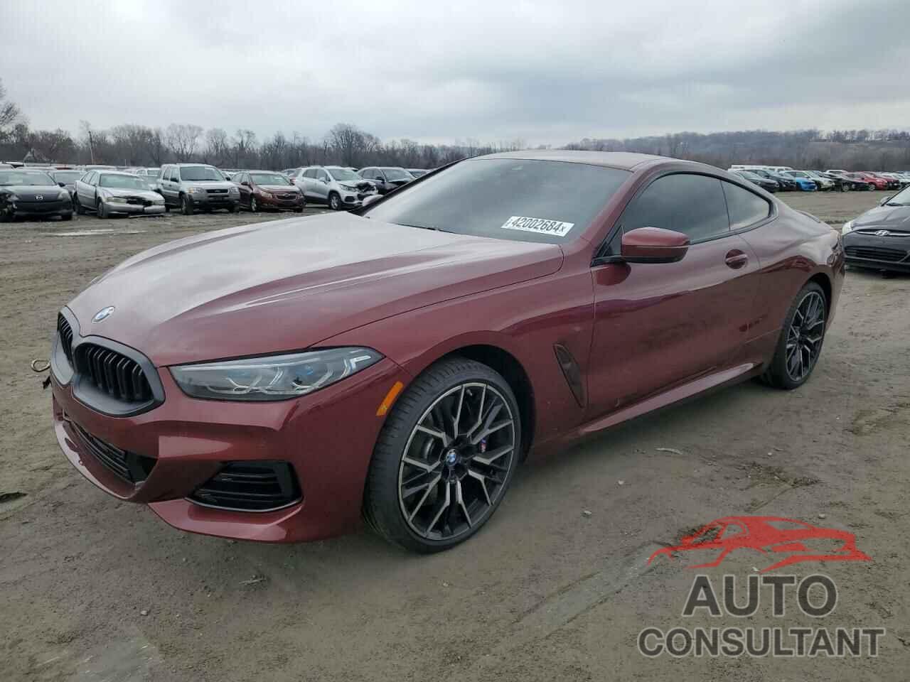 BMW 8 SERIES 2023 - WBAAE4C03PCL41634