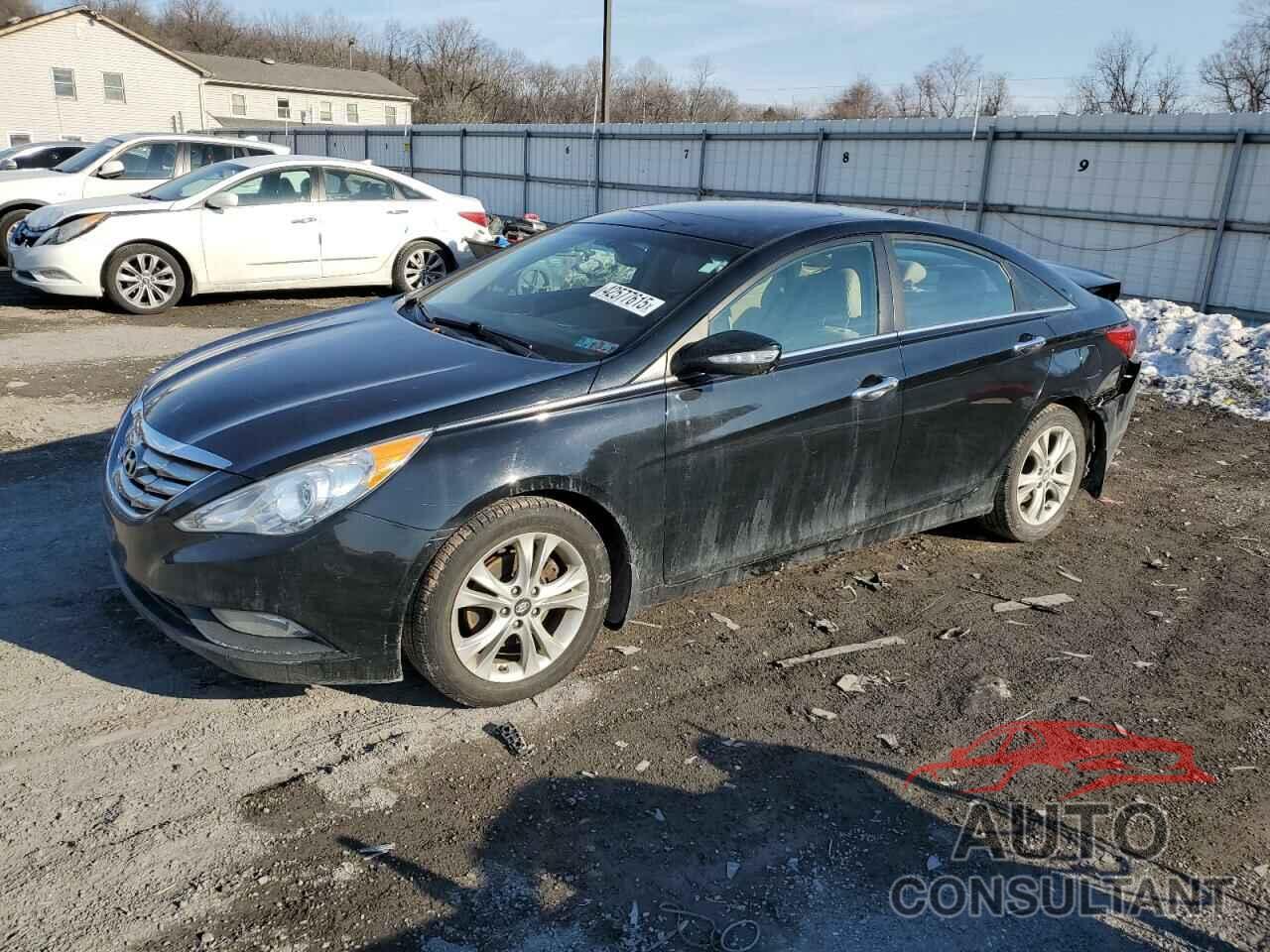 HYUNDAI SONATA 2013 - 5NPEC4AC1DH592224