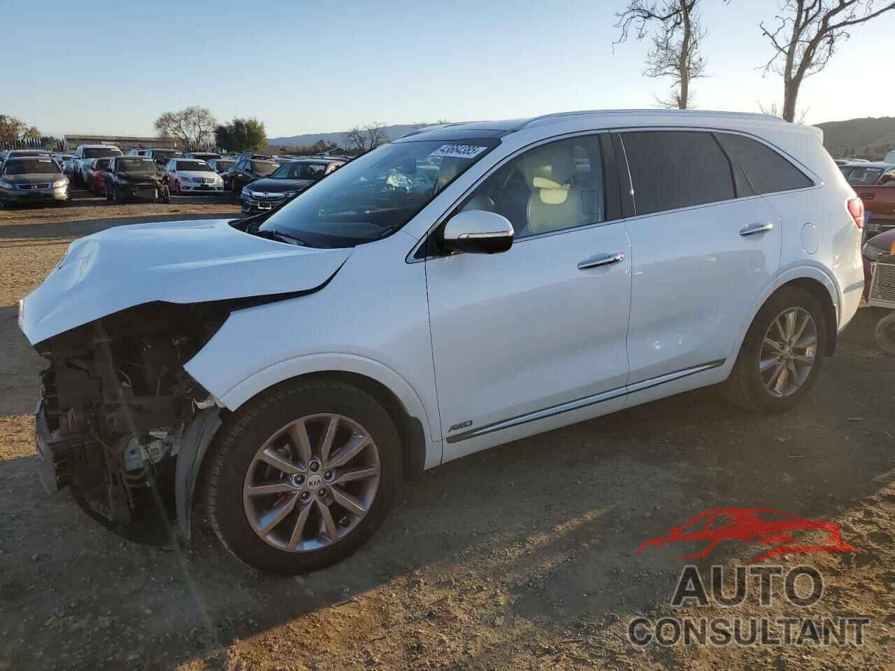 KIA SORENTO 2017 - 5XYPKDA58HG226657