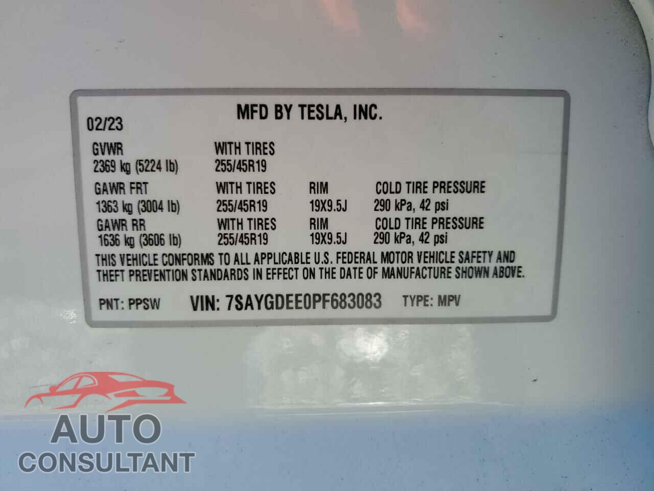 TESLA MODEL Y 2023 - 7SAYGDEE0PF683083