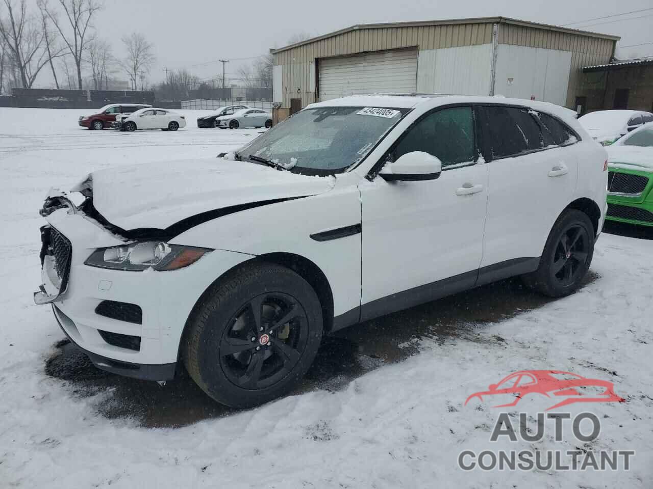 JAGUAR F-PACE 2019 - SADCK2FX3KA398393