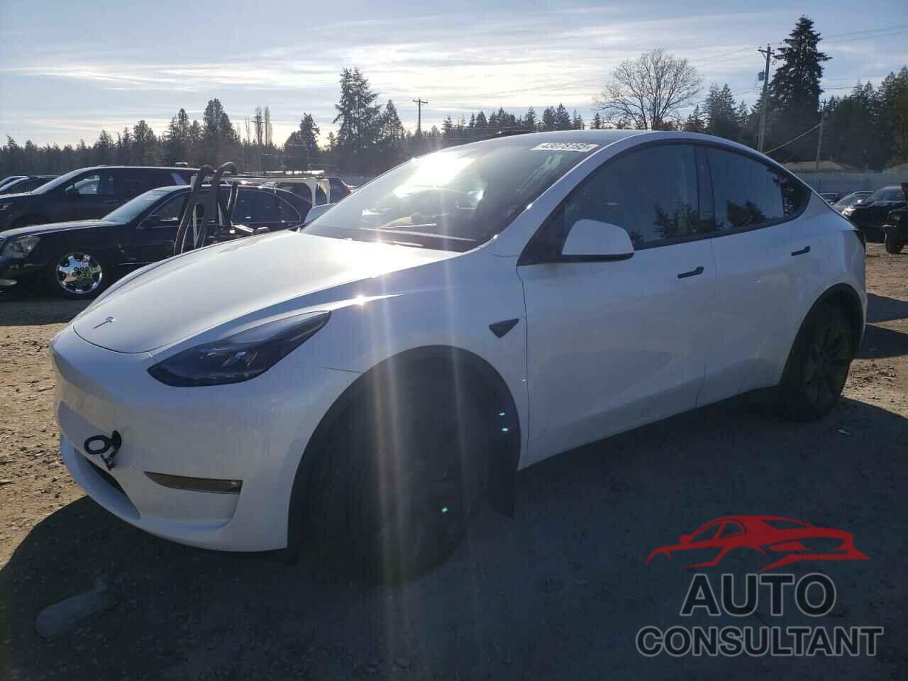 TESLA MODEL Y 2024 - 7SAYGAEE1RF204719