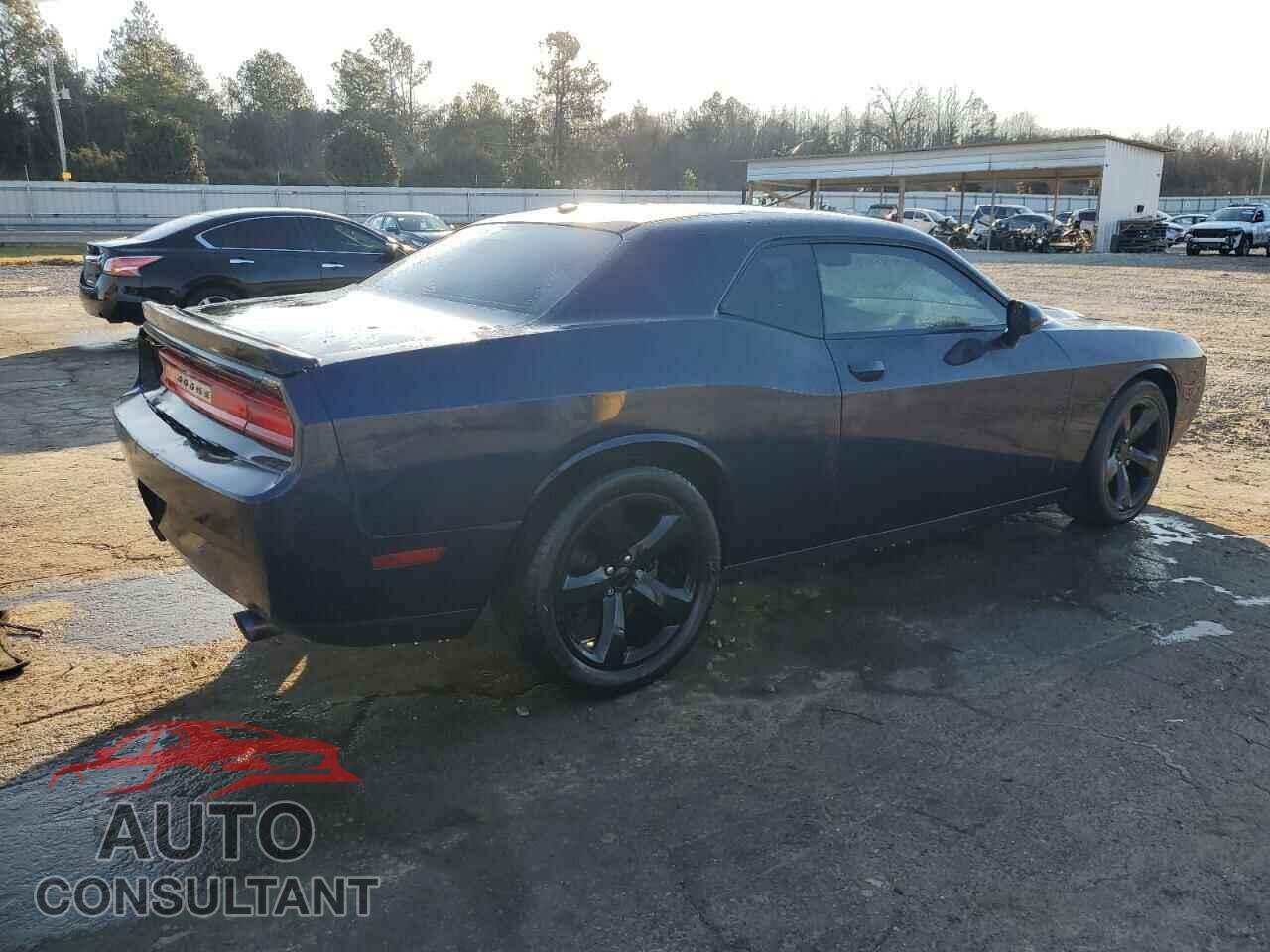 DODGE CHALLENGER 2013 - 2C3CDYAG3DH670918