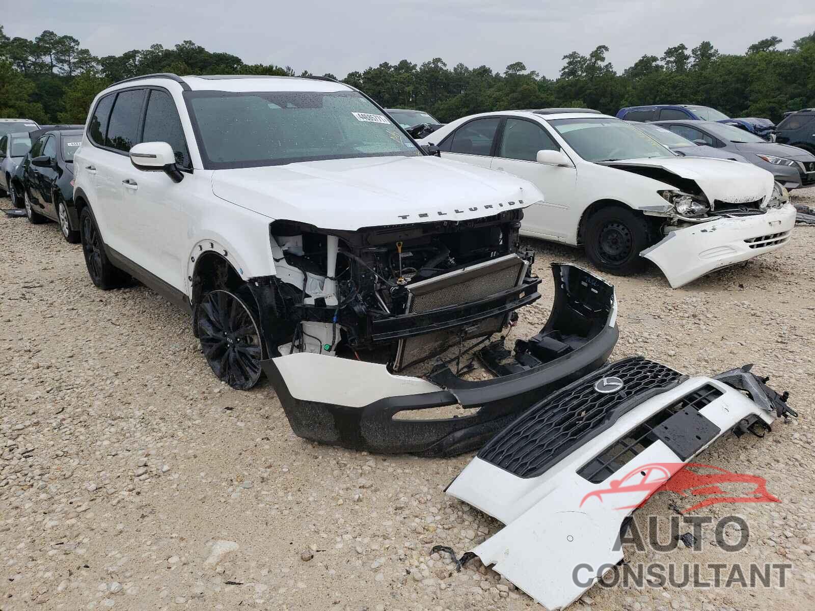 KIA TELLURIDE 2020 - 5XYP5DHC3LG072475