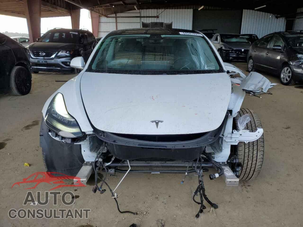 TESLA MODEL 3 2019 - 5YJ3E1EA7KF431249