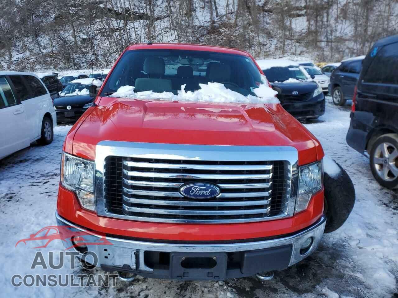 FORD F-150 2011 - 1FTFX1EF2BFC54687