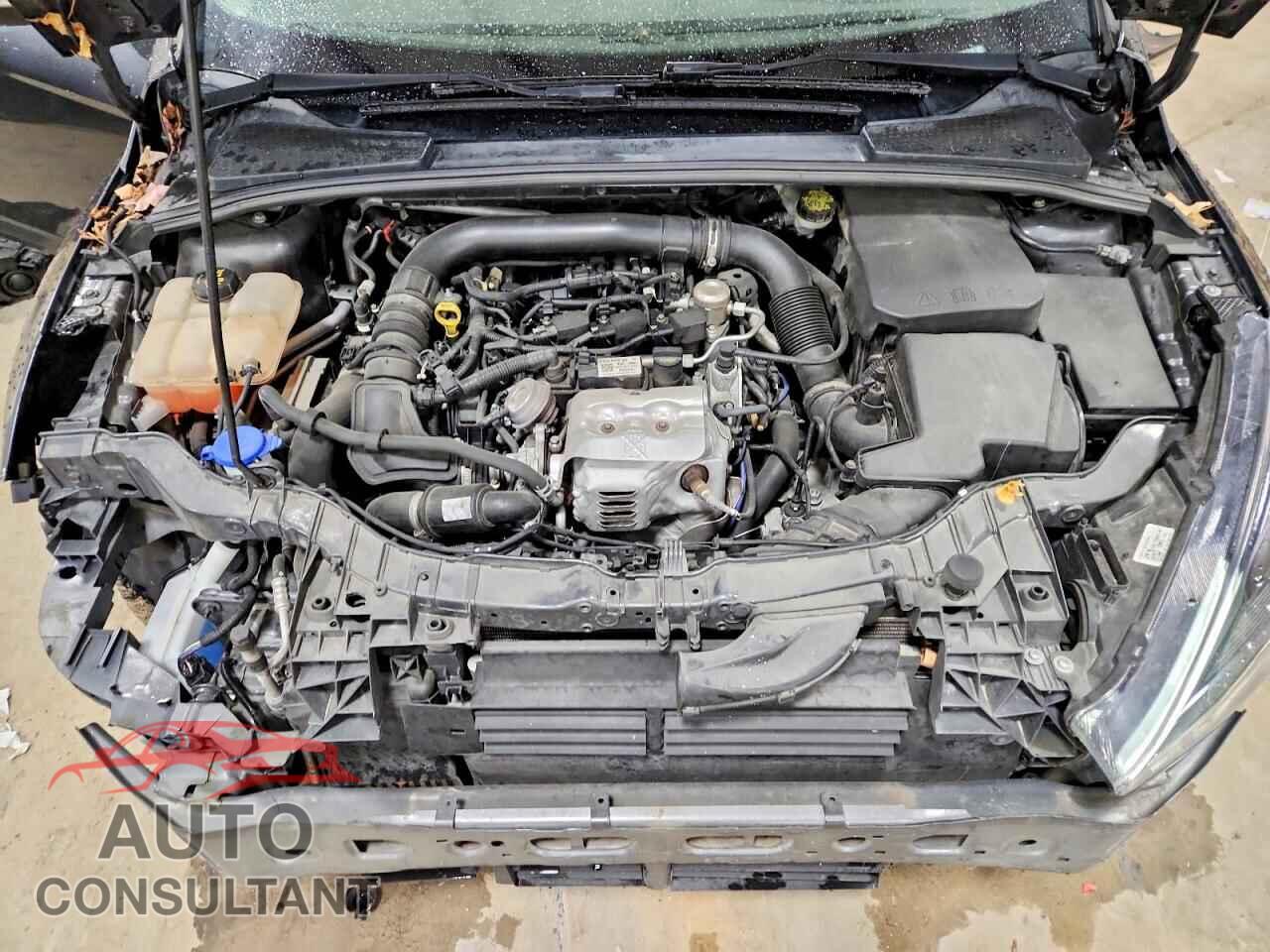 FORD FOCUS 2016 - 1FADP3FEXGL377435