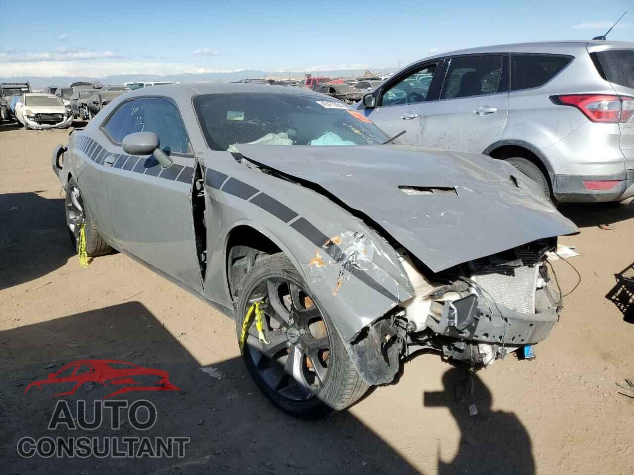 DODGE CHALLENGER 2019 - 2C3CDZAG7KH701252