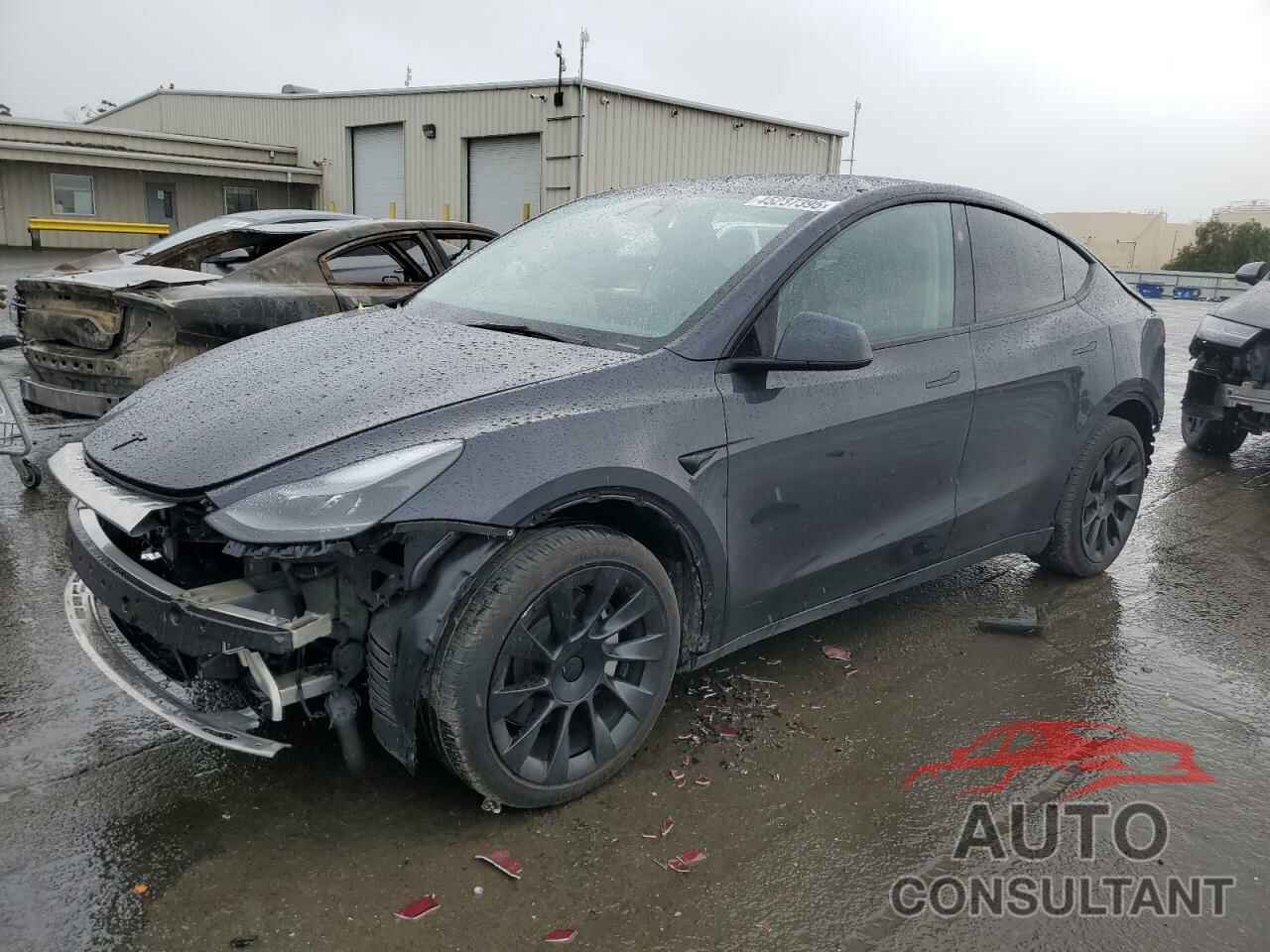 TESLA MODEL Y 2024 - 7SAYGDEEXRF003824