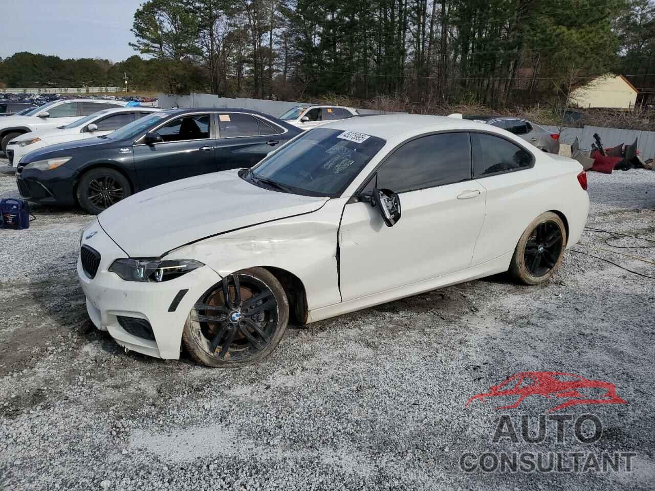 BMW 2 SERIES 2017 - WBA2F9C36HV664784