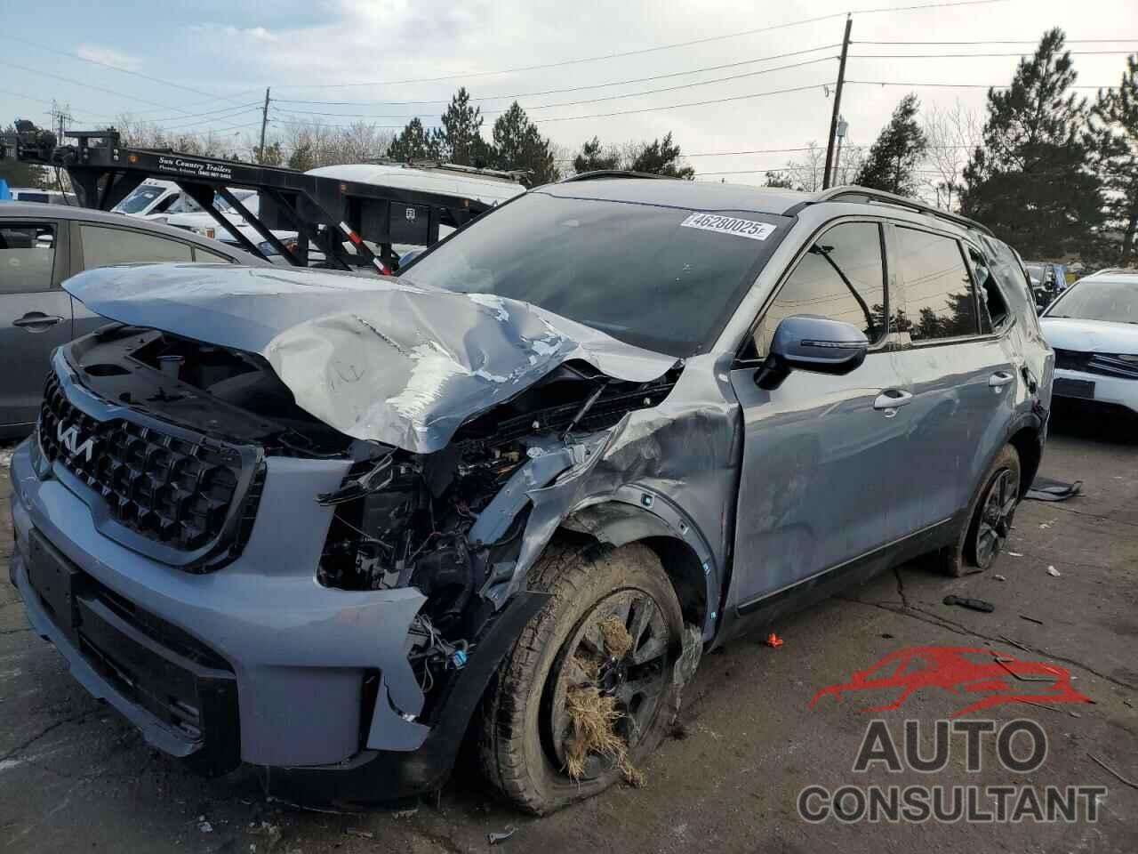 KIA TELLURIDE 2024 - 5XYP5DGCXRG525114