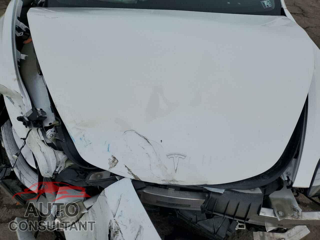 TESLA MODEL 3 2019 - 5YJ3E1EB5KF388037