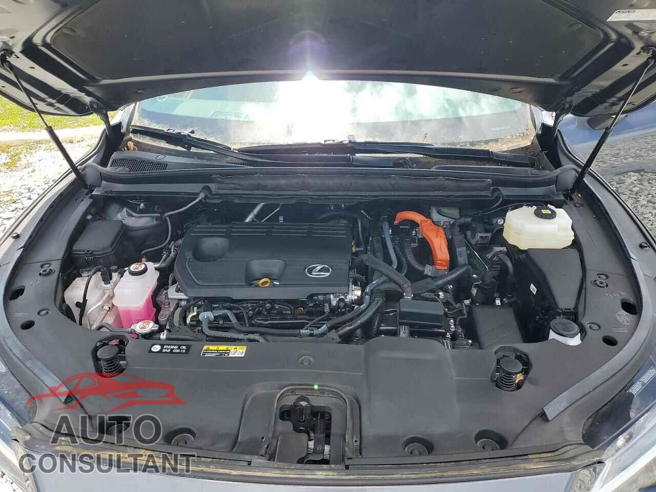 LEXUS UNKNOWN 2025 - 2T2BBMCA0SC088308