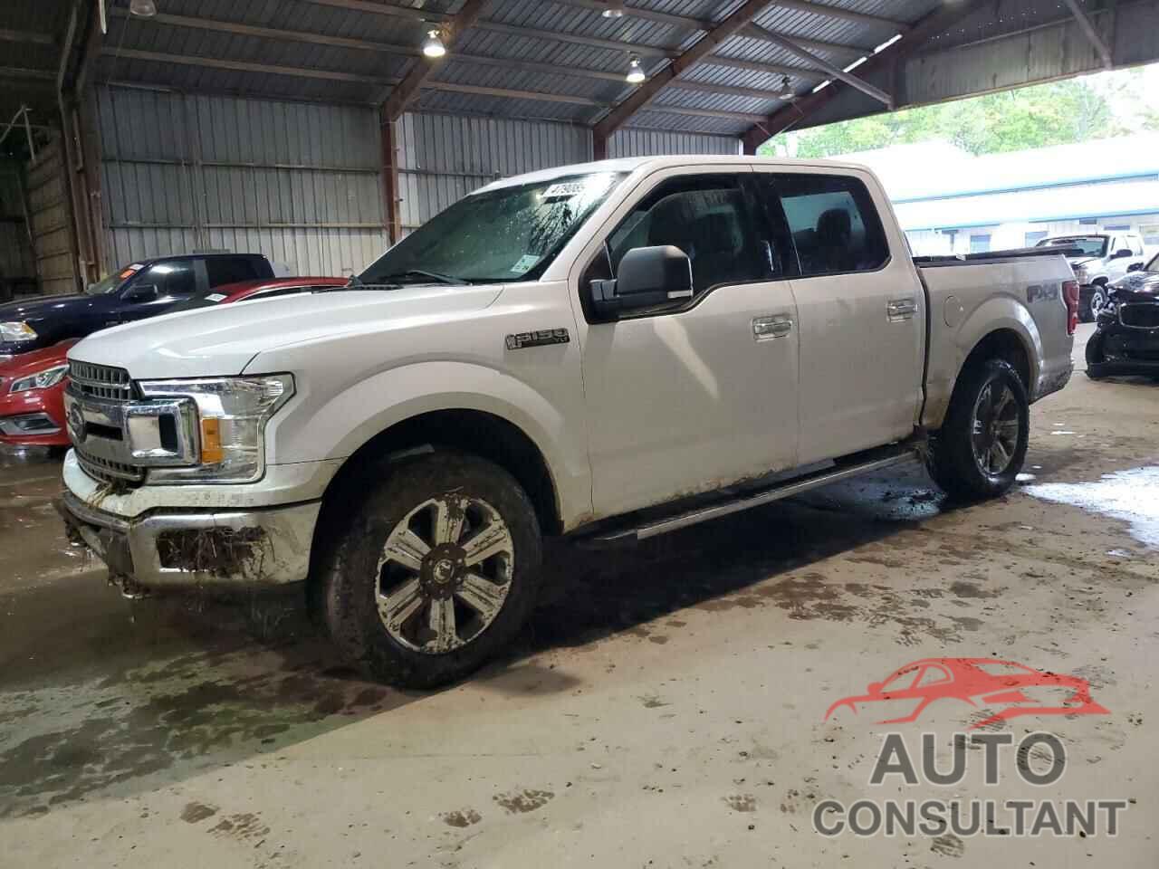 FORD F-150 2019 - 1FTEW1E55KKF30499