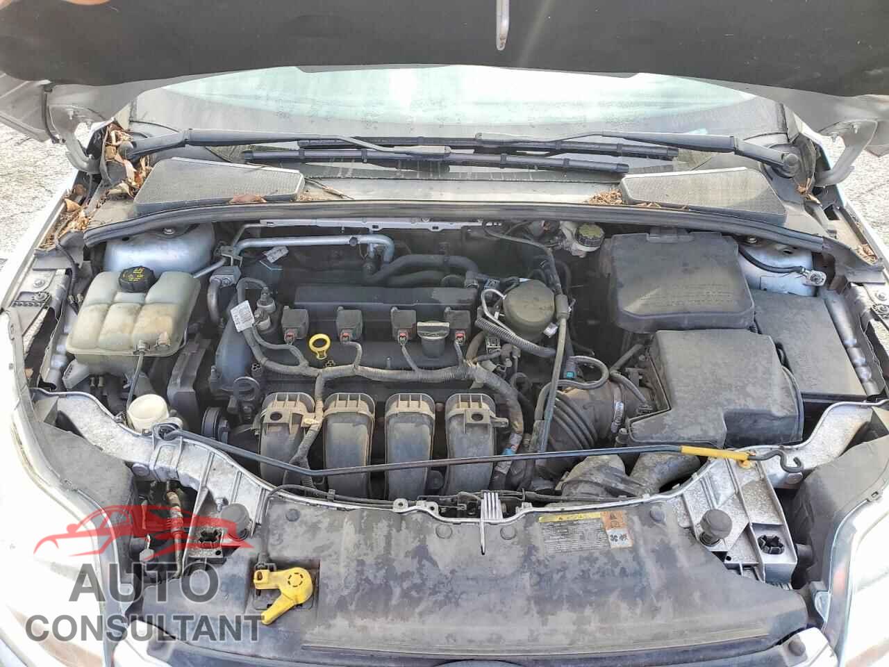 FORD FOCUS 2014 - 1FADP3K28EL248053