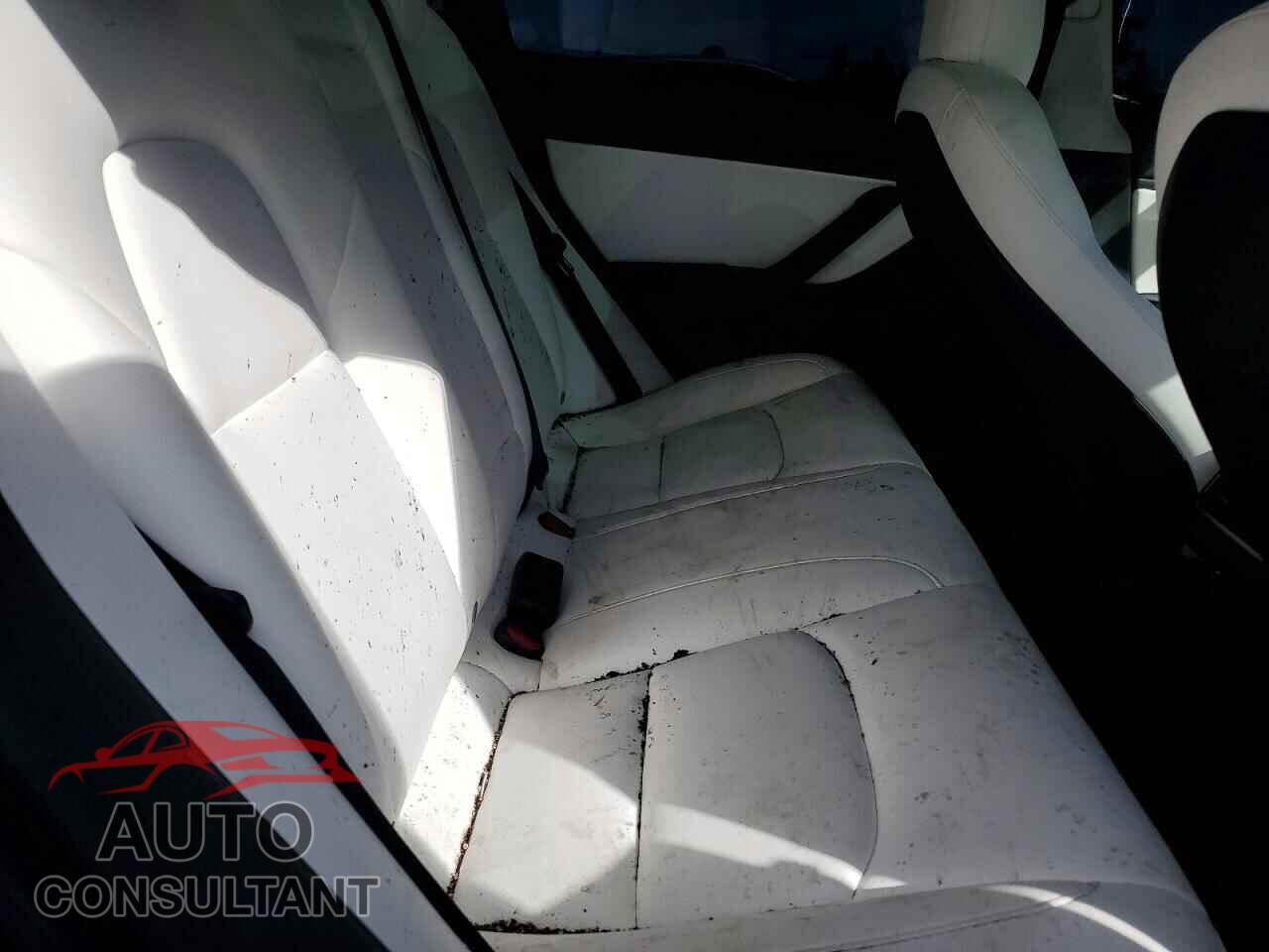 TESLA MODEL 3 2019 - 5YJ3E1EB2KF367355