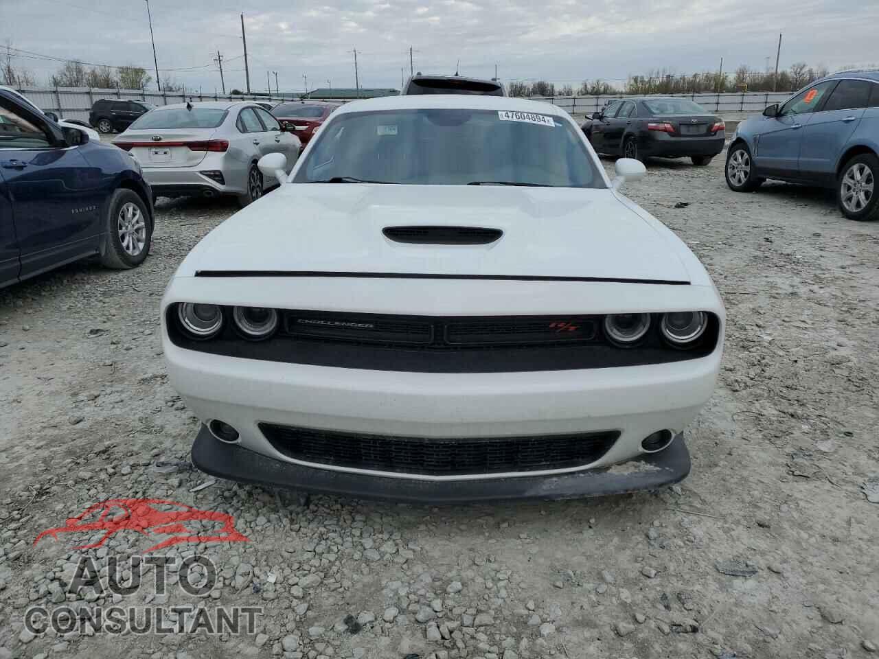 DODGE CHALLENGER 2019 - 2C3CDZBT9KH652017