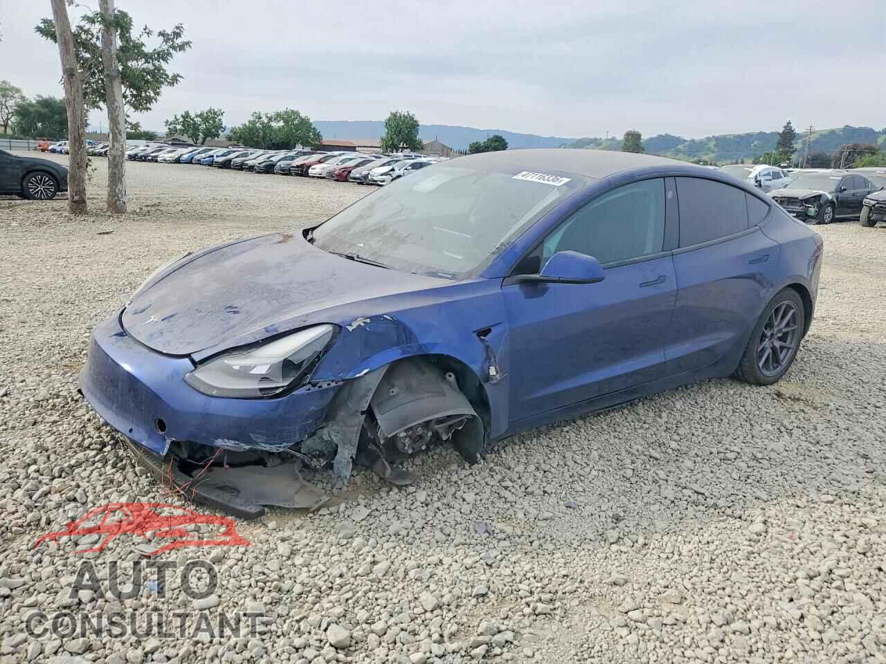 TESLA MODEL 3 2021 - 5YJ3E1EB6MF998581