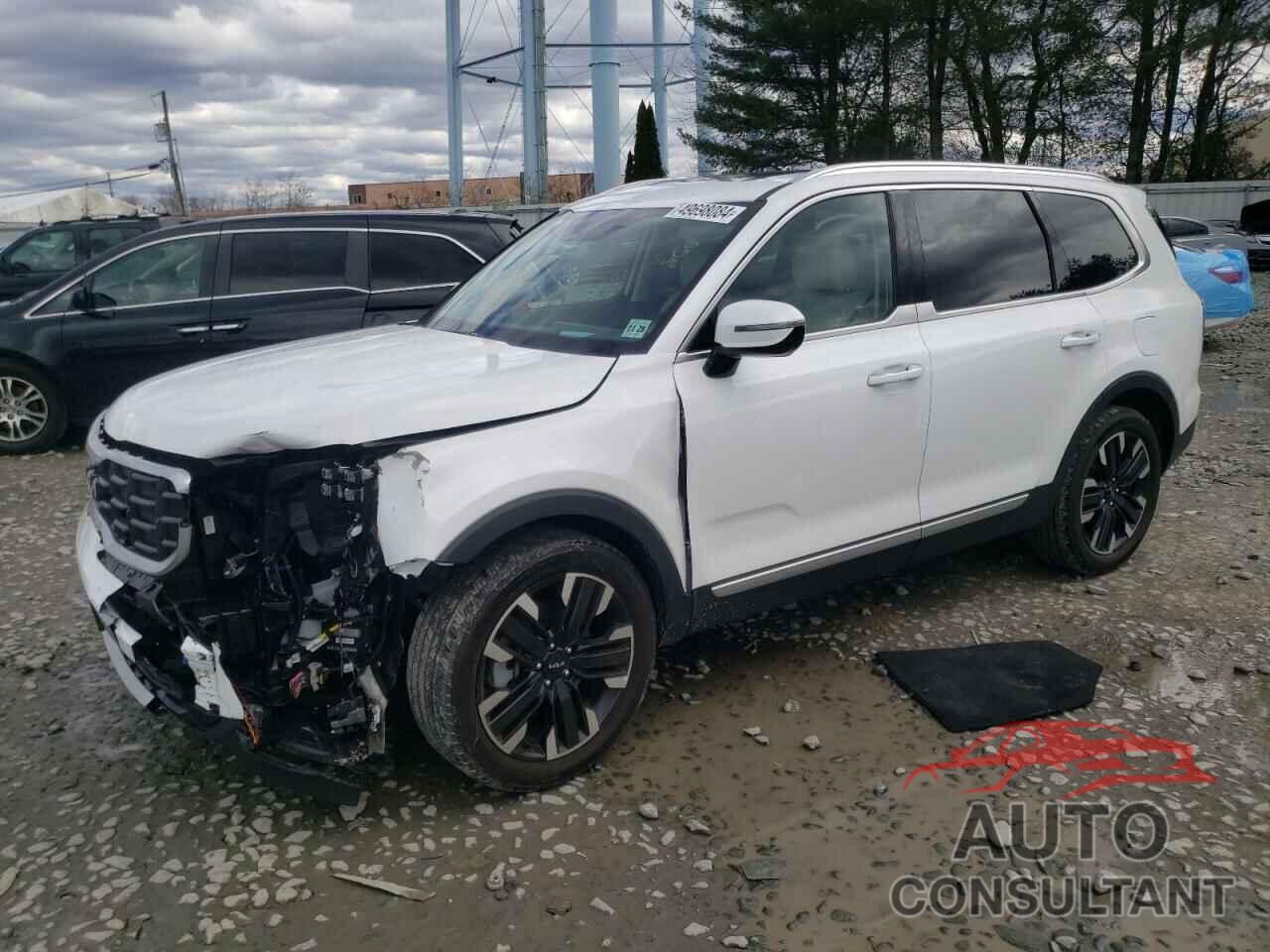 KIA TELLURIDE 2024 - 5XYP5DGCXRG423277