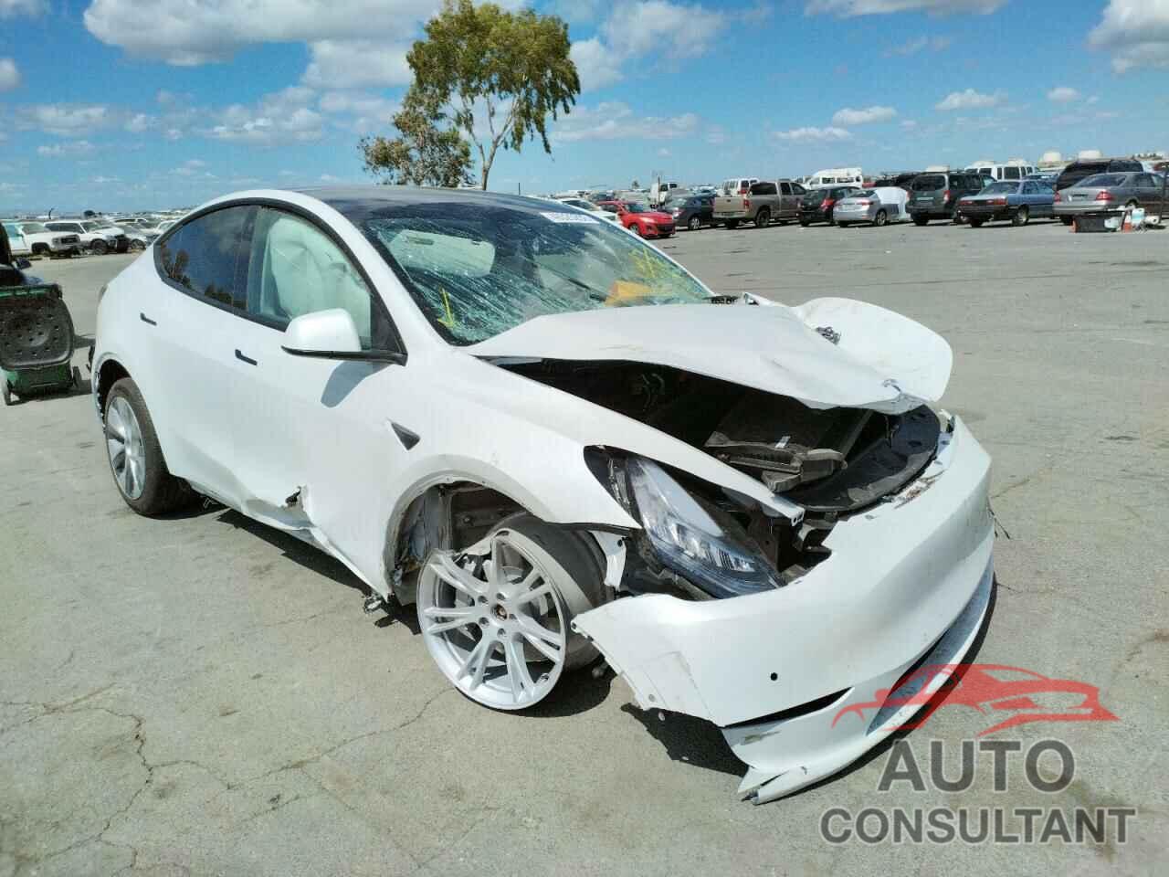TESLA MODEL Y 2022 - 7SAYGDEE9NF402511