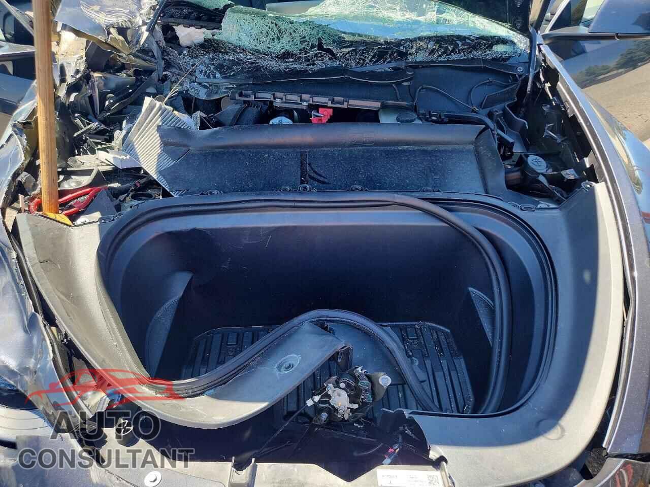 TESLA MODEL Y 2024 - 7SAYGDEEXRA246904