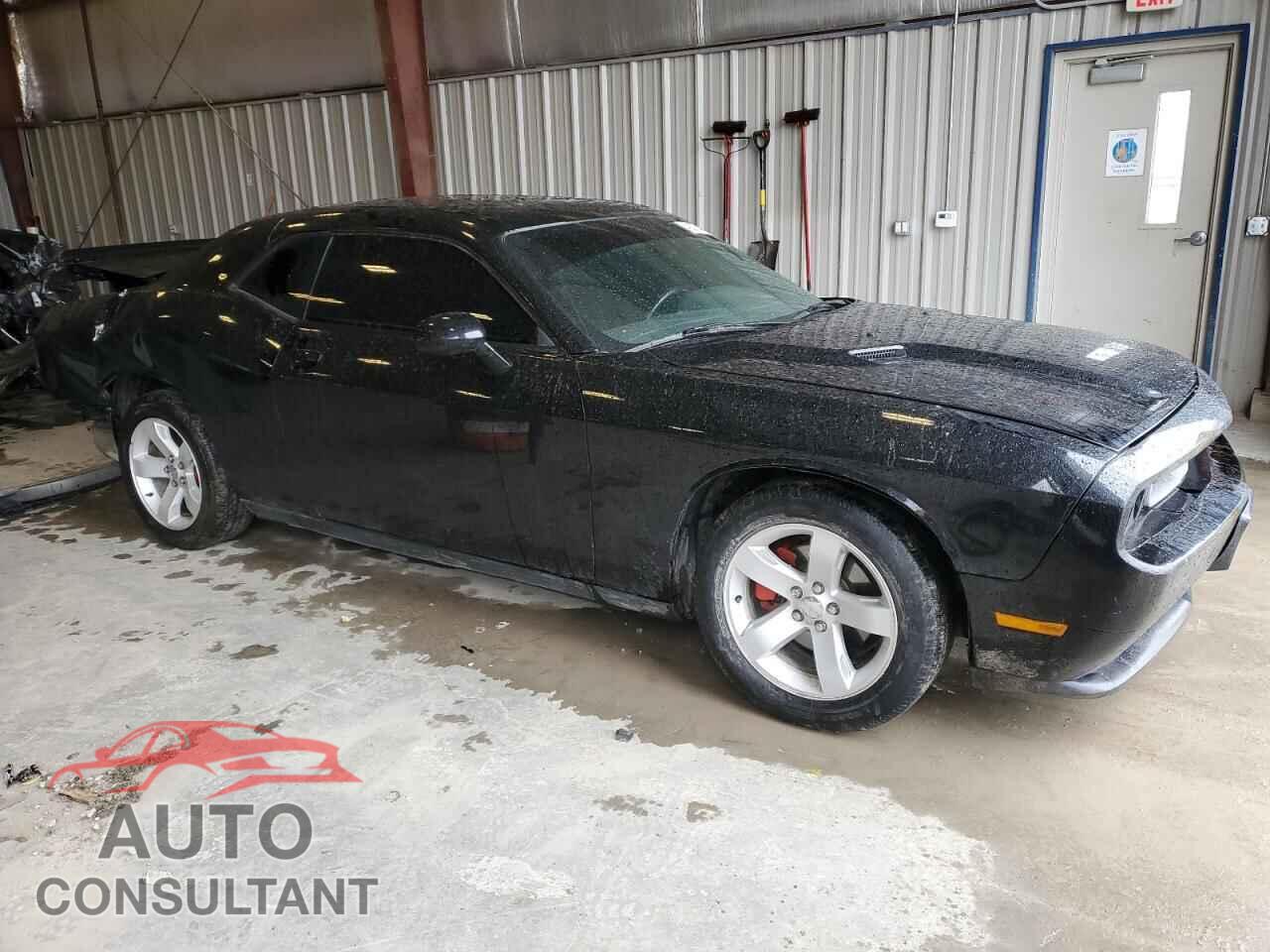 DODGE CHALLENGER 2014 - 2C3CDYAG2EH313201