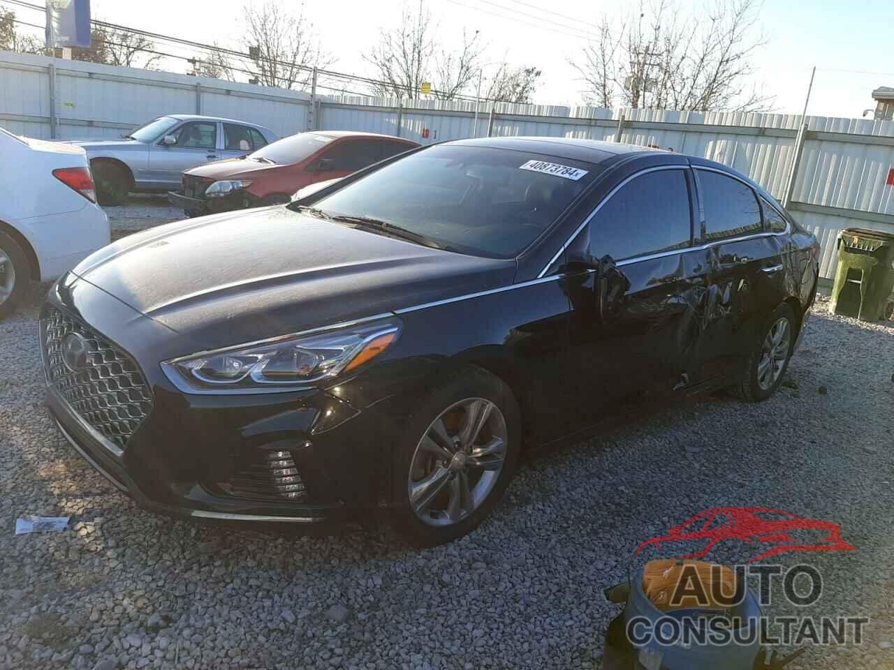 HYUNDAI SONATA 2019 - 5NPE34AF6KH789073