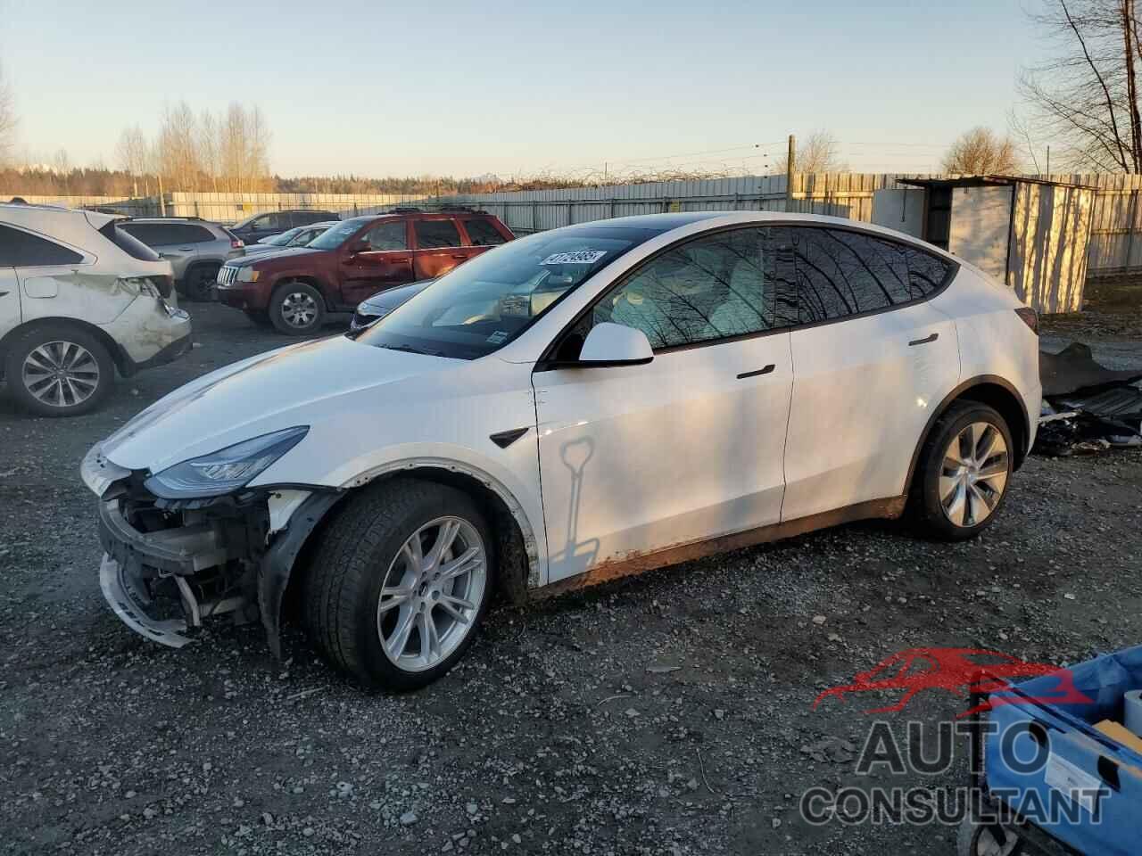 TESLA MODEL Y 2021 - 5YJYGDEE8MF244125