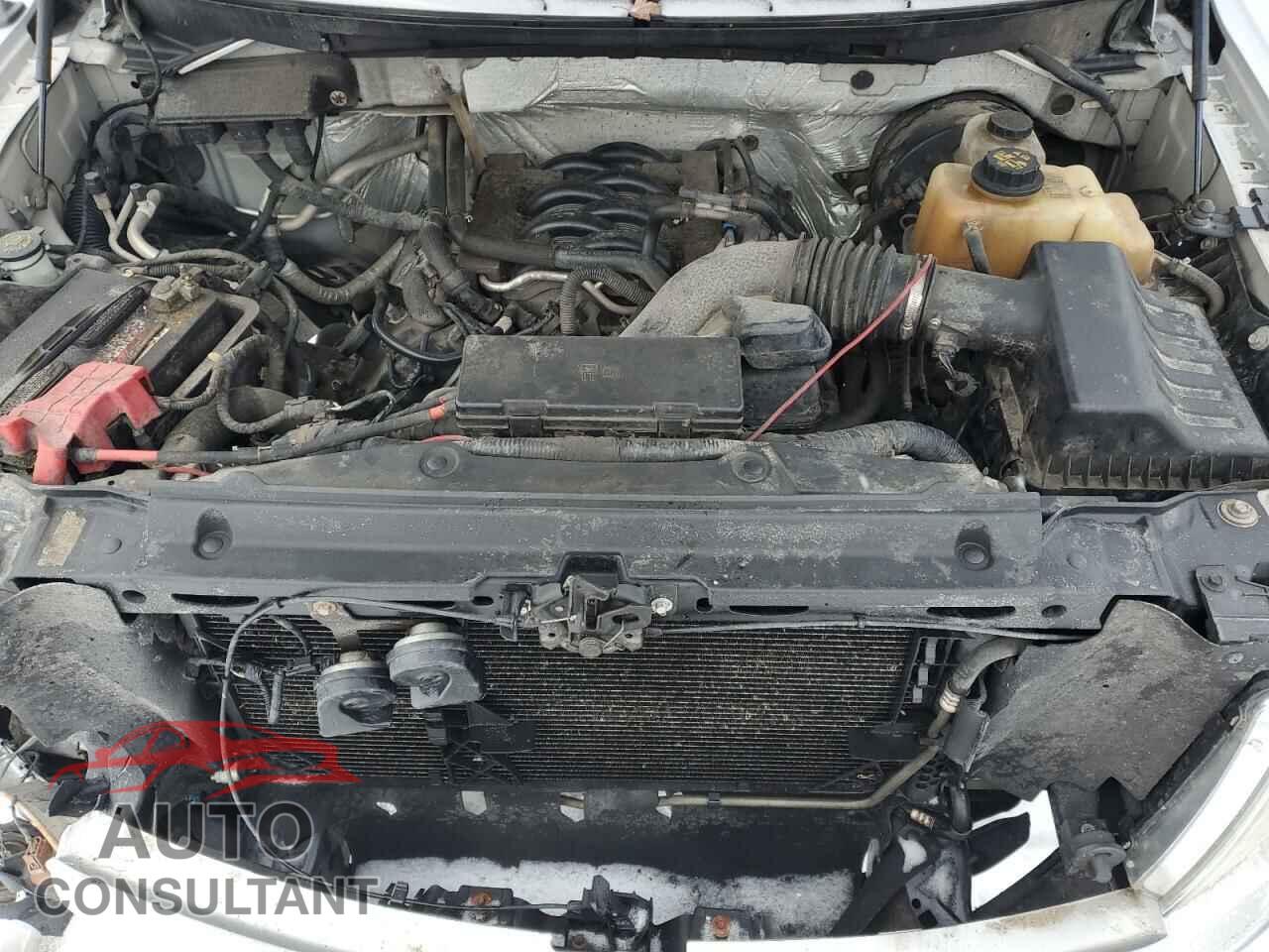 FORD F-150 2011 - 1FTFW1CF0BKD52257