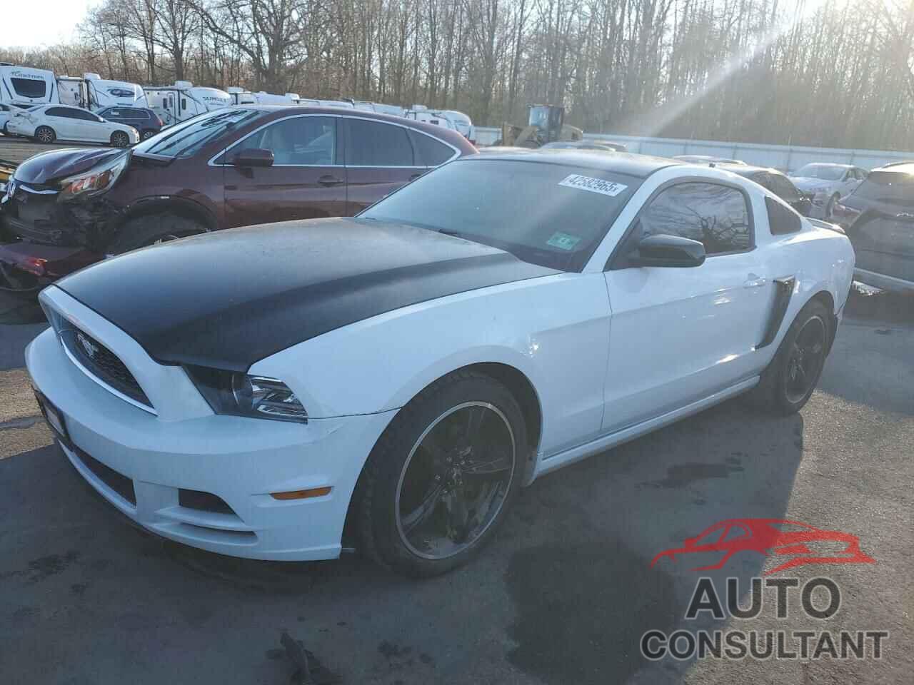 FORD ALL Models 2014 - 1ZVBP8AM4E5315489