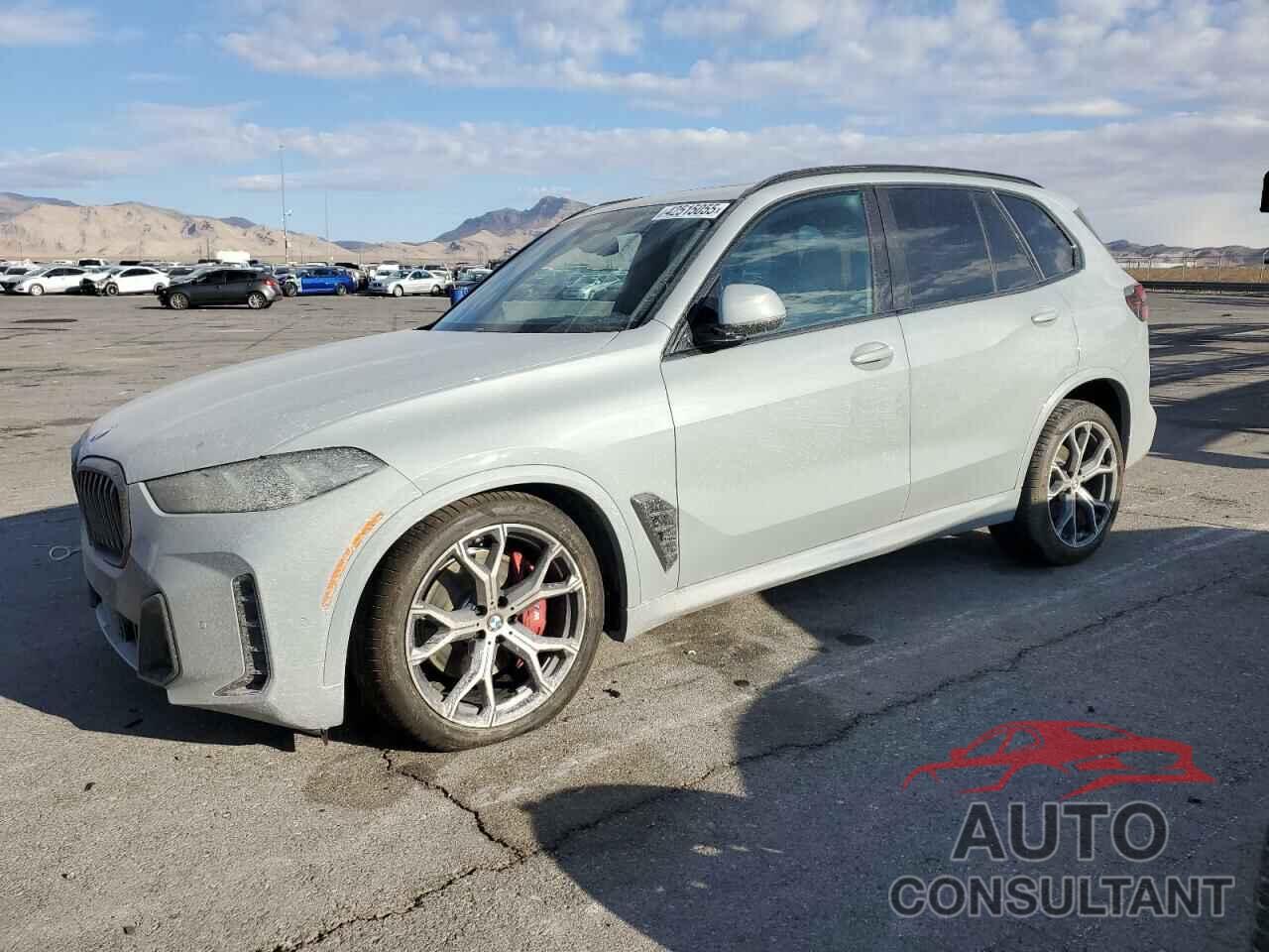 BMW X5 2025 - 5UX13EU09S9X71671