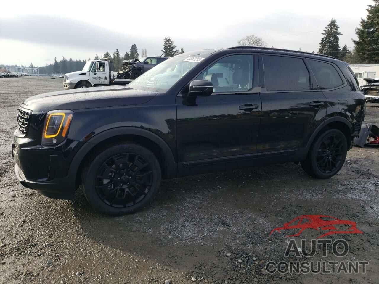 KIA TELLURIDE 2021 - 5XYP5DHC7MG186299