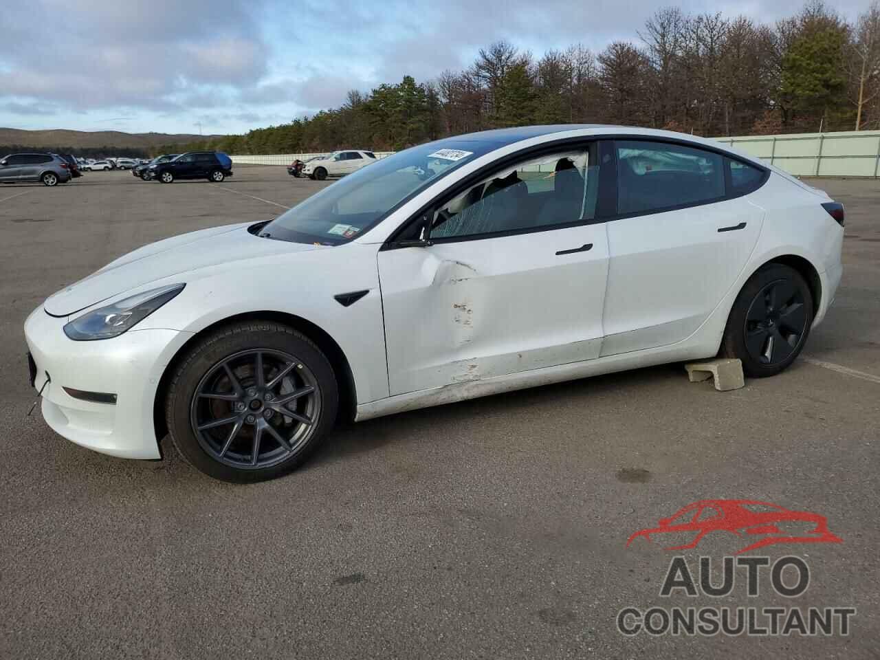 TESLA MODEL 3 2021 - 5YJ3E1EB0MF979024