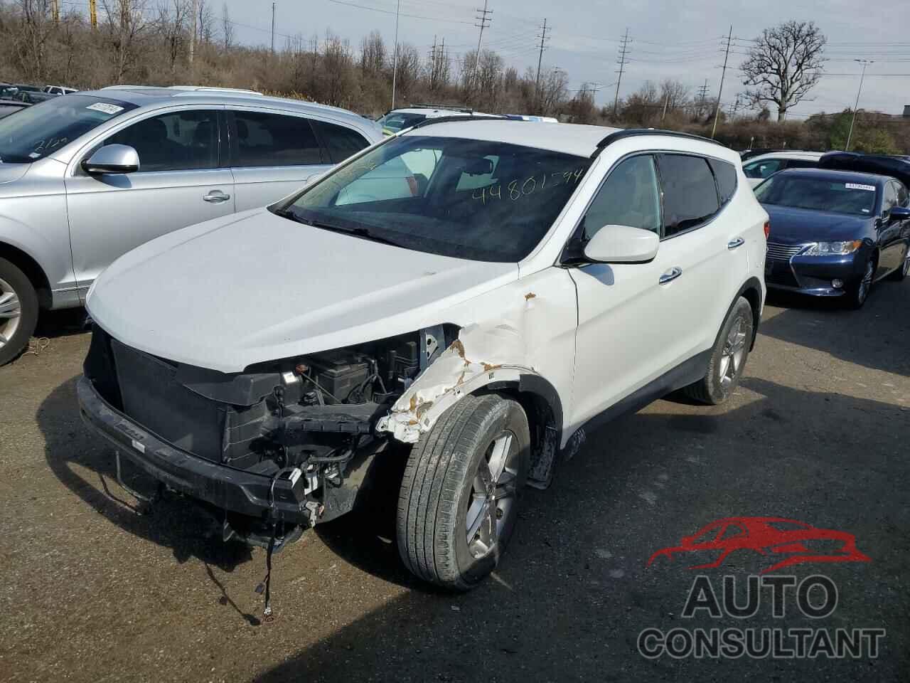 HYUNDAI SANTA FE 2017 - 5NMZUDLB0HH012757