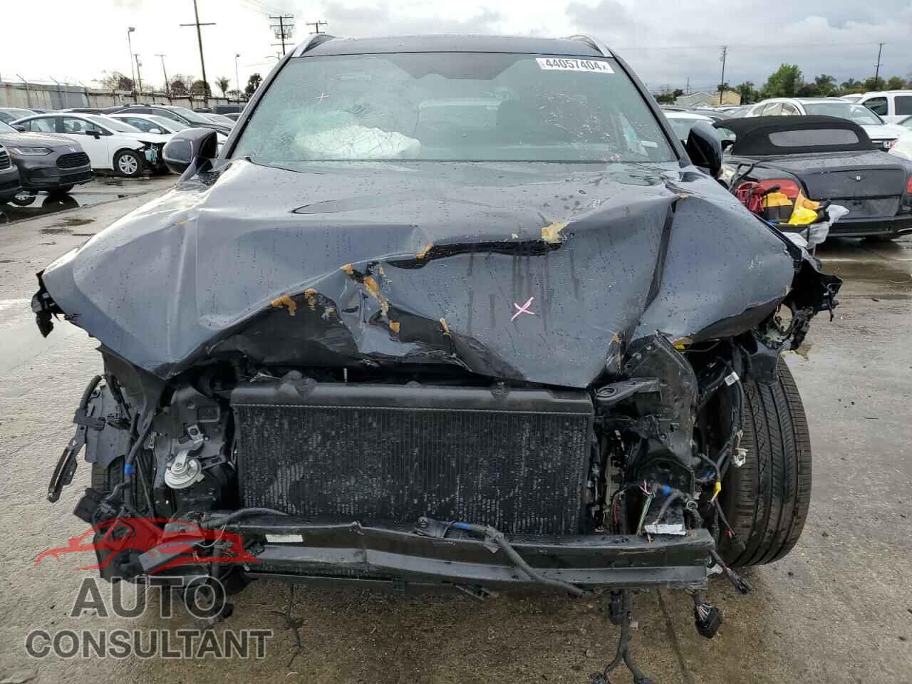 HYUNDAI PALISADE 2024 - KM8R7DGE2RU708246