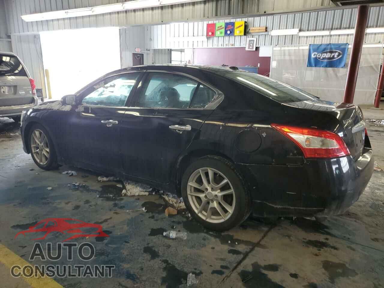 NISSAN MAXIMA 2011 - 1N4AA5AP6BC831391