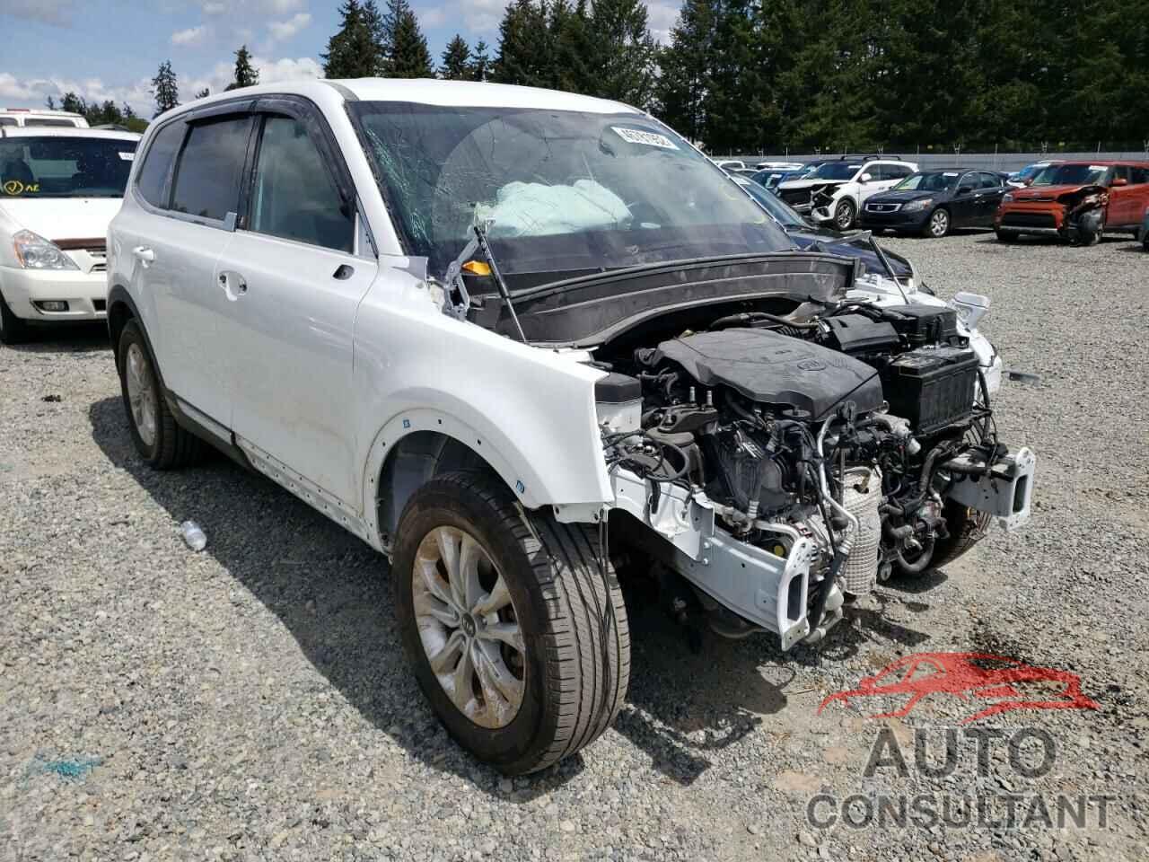 KIA TELLURIDE 2020 - 5XYP2DHC4LG069559